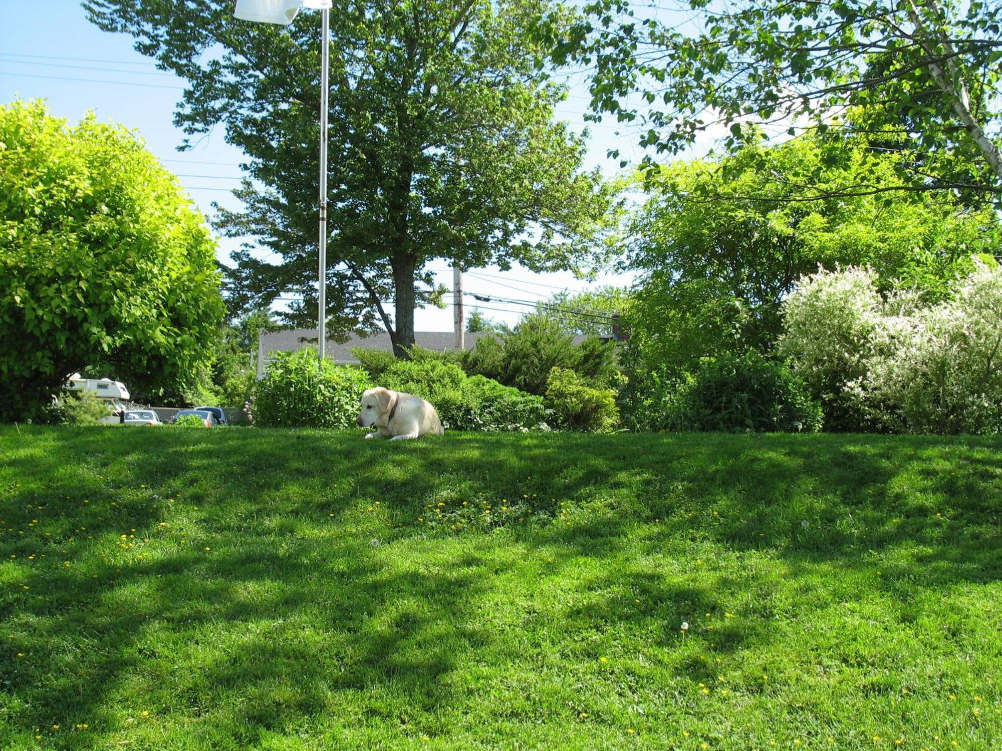 The Nelson House Bed And Breakfast Stewiacke Exterior photo